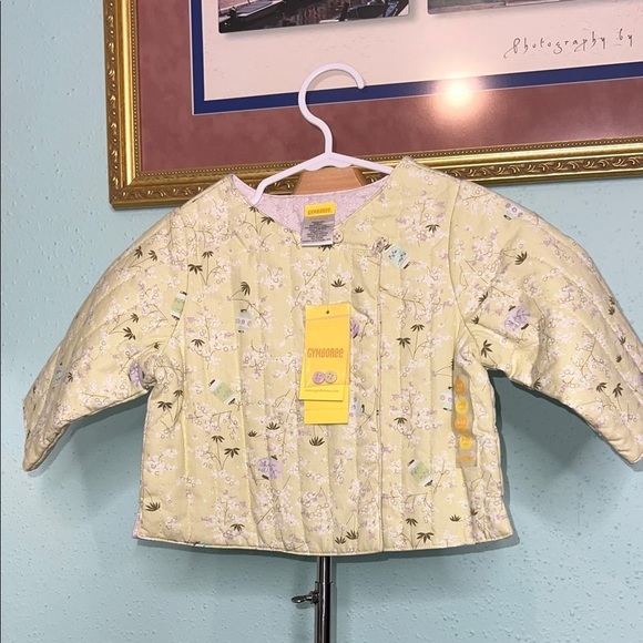 Gymboree Other - Gymboree Pastel Green Kids Jacket